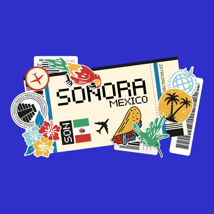 Sonora Mexican Vacation Holidays Estado De Sonora Mexico Funny Gift 16 in Basic Backpack