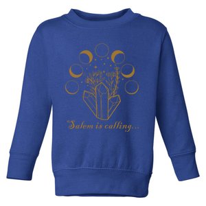 Salem Ma Witch Trials 1692 Moon Phase Crystals Witchcraft Gift Toddler Sweatshirt