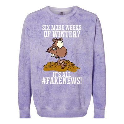 Six More Weeks Fake News Funny Groundhog Day Animal Lover Meaningful Gift Colorblast Crewneck Sweatshirt