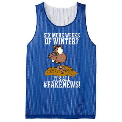 Six More Weeks Fake News Funny Groundhog Day Animal Lover Meaningful Gift Mesh Reversible Basketball Jersey Tank