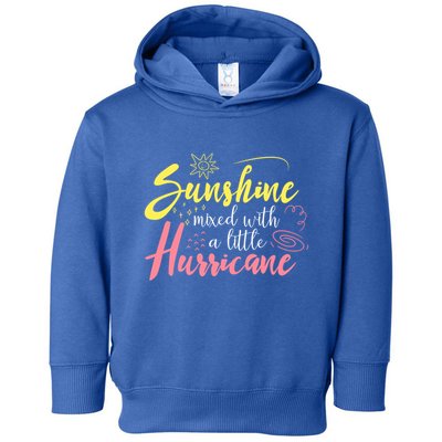 Sunshine Mixed With A Little Hurricane Positive Vibes Cute Gift Toddler Hoodie