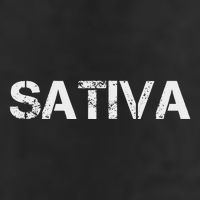 Sativa Marijuana Weed Cannabis Pot Smoker 11oz C Handle Ceramic Mug