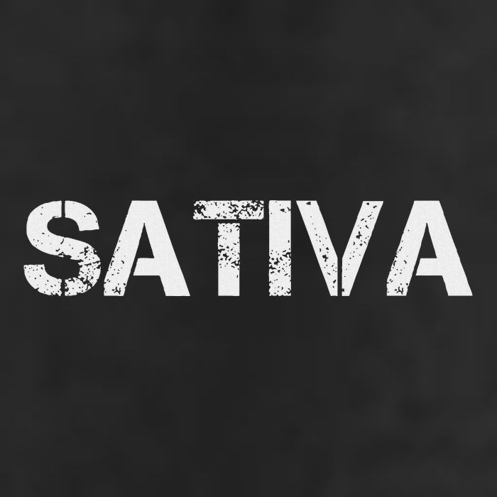 Sativa Marijuana Weed Cannabis Pot Smoker 11oz C Handle Ceramic Mug