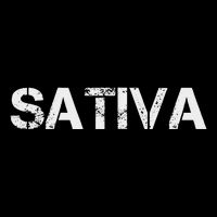 Sativa Marijuana Weed Cannabis Pot Smoker Zip Tote Bag
