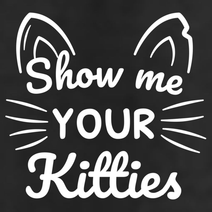 Show Me Your Kitties Dirty Cat Pun Gift 11oz C Handle Ceramic Mug