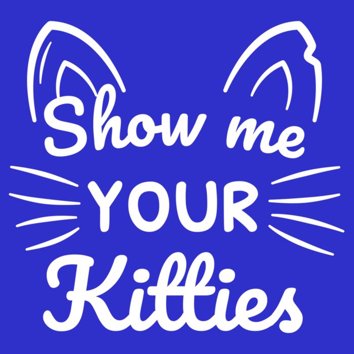 Show Me Your Kitties Dirty Cat Pun Gift Toddler T-Shirt