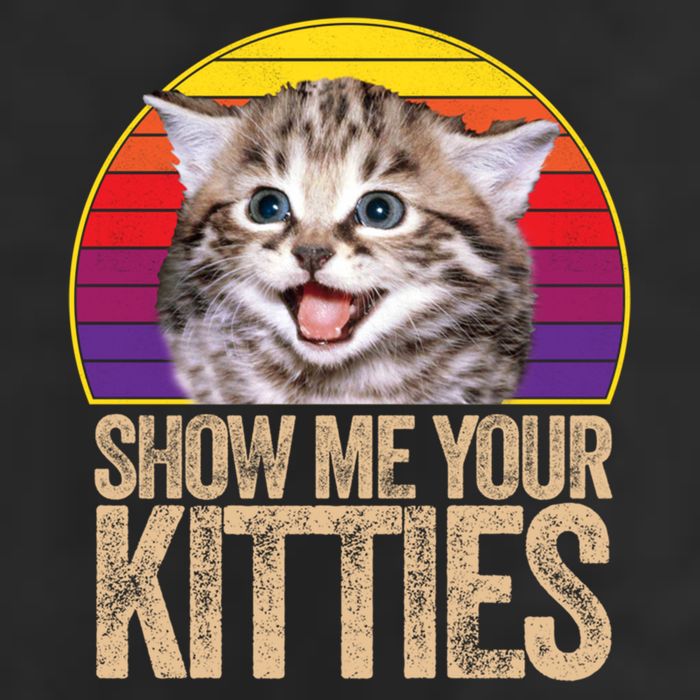 Show Me Your Kitties Great Gift 7 Panel Mesh Trucker Snapback Hat
