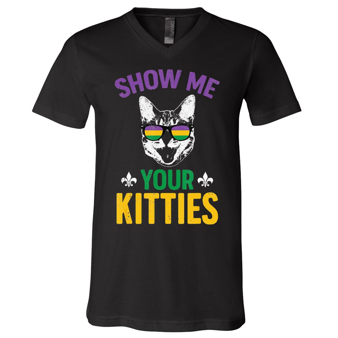 Show Me Your Kitties Funny Mardi Gras Carnival V-Neck T-Shirt