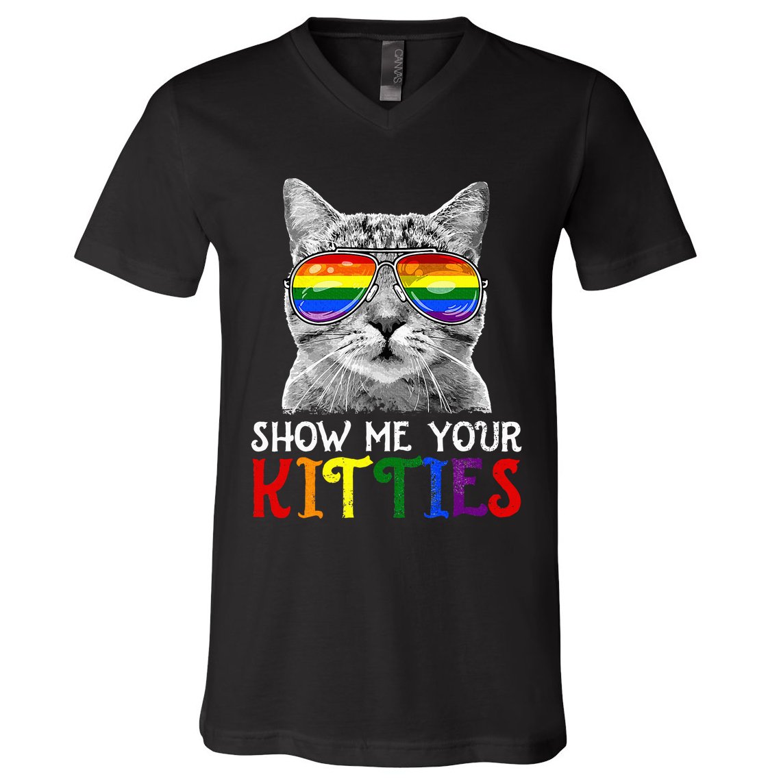 Show Me Your Kitties Proud Ally Cat Lover Lgbt G.A.Y Pride V-Neck T-Shirt