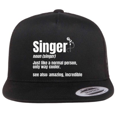 Singer Noun Artist Musician Vocalist Soloist Music Performer Flatbill Hat