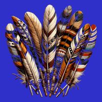 Southwest Native American Indian Feather Sweatshirt