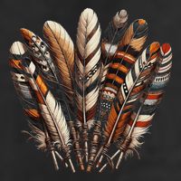 Southwest Native American Indian Feather Beanie