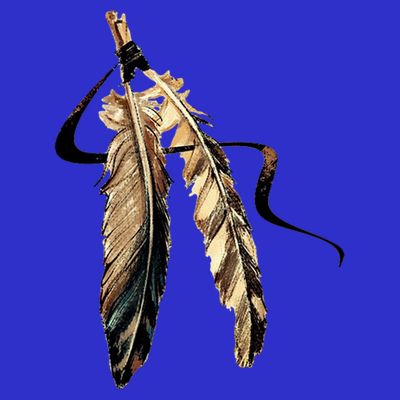 Southwest Native American Indian Tribal Art Colorful Feather Cool Gift T-Shirt