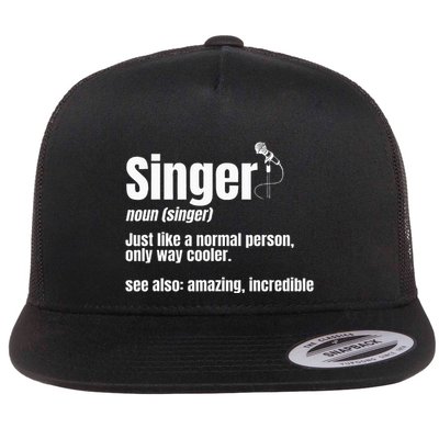 Singer Noun Artist Musician Vocalist Soloist Music Performer Flatbill Hat