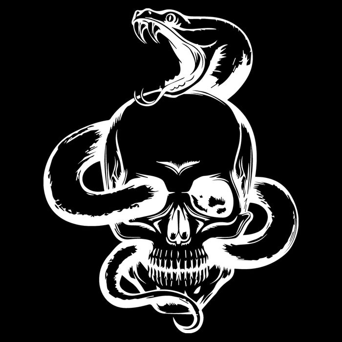 Snake Skull  Premium T-Shirt