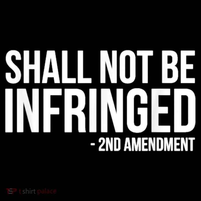 Shall Not Be Infringed 2nd Amendment Rights Sustainable Knit Beanie