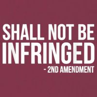 Shall Not Be Infringed 2nd Amendment Rights 16oz Travel Tumbler