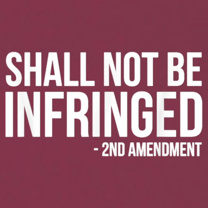 Shall Not Be Infringed 2nd Amendment Rights 16oz Travel Tumbler