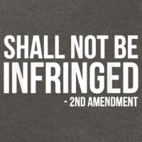 Shall Not Be Infringed 2nd Amendment Rights Cotton Canvas Backpack