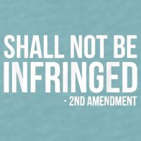 Shall Not Be Infringed 2nd Amendment Rights Sueded Cloud Jersey T-Shirt