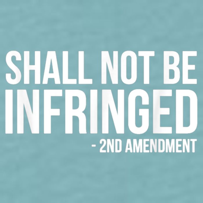 Shall Not Be Infringed 2nd Amendment Rights Sueded Cloud Jersey T-Shirt