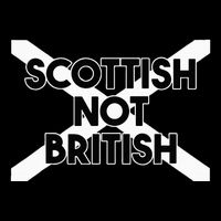Scottish Not British Scottish Independence Wool Snapback Cap
