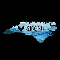 Support North Carolina Stay Western Strong Nc State Gift Toddler Hoodie