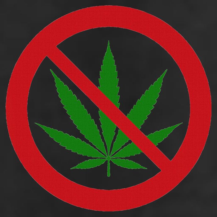 Say No Cannabis Anti Marijuana Design Retro Anti Weed Adult Drive Performance Visor