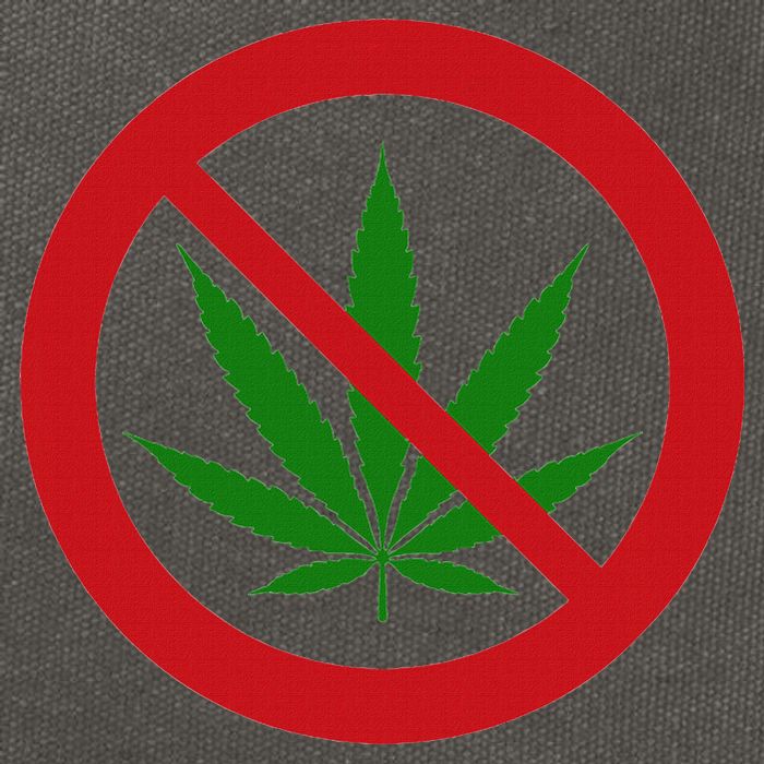 Say No Cannabis Anti Marijuana Design Retro Anti Weed Cotton Canvas Backpack