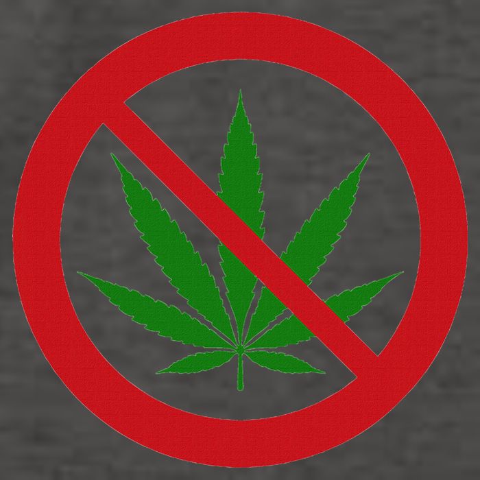 Say No Cannabis Anti Marijuana Design Retro Anti Weed Vector Backpack