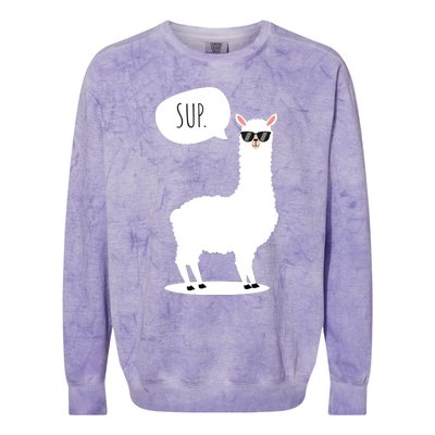 Sup No Drama Llama Alpaca Colorblast Crewneck Sweatshirt