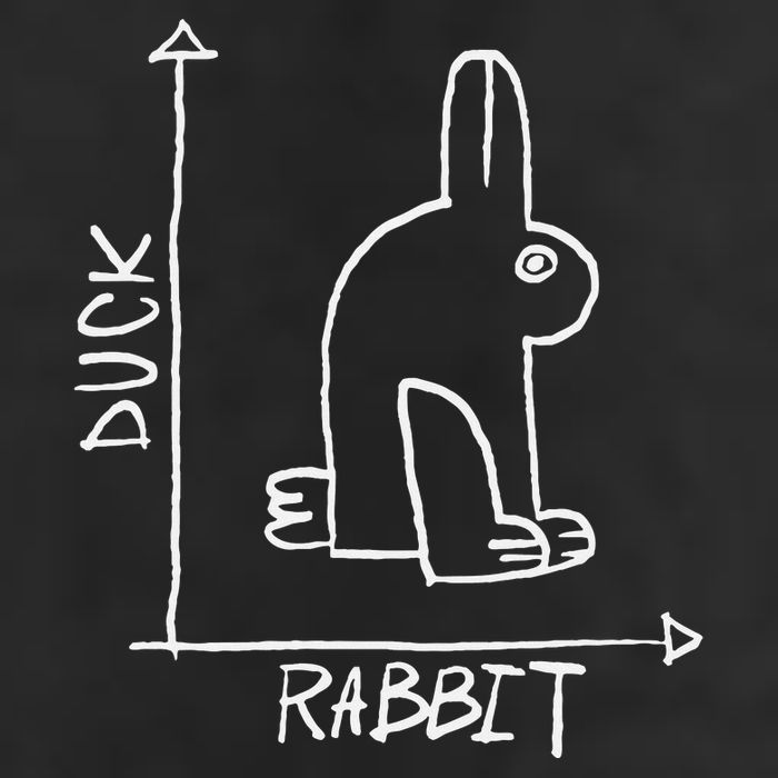 Science Nerd Duck Or Rabbit Physics Math Geek Garment-Dyed Heavyweight T-Shirt