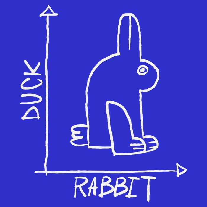 Science Nerd Duck Or Rabbit Physics Math Geek Tank Top