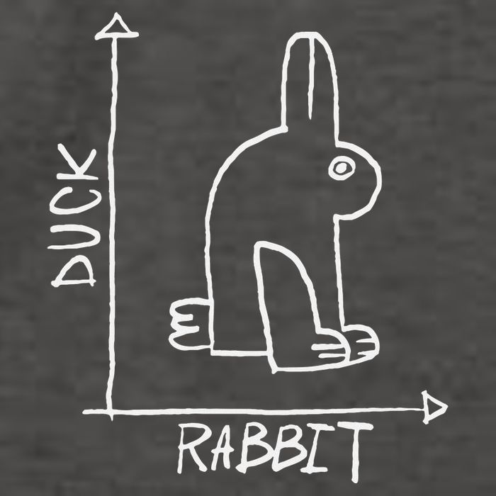 Science Nerd Duck Or Rabbit Physics Math Geek Vector Backpack