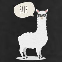 Sup No Drama Llama Alpaca Cool Comfort Performance Bucket Hat