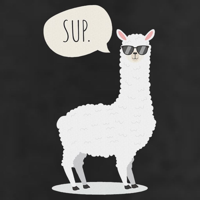 Sup No Drama Llama Alpaca Cool Comfort Performance Bucket Hat
