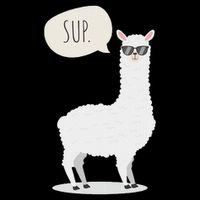 Sup No Drama Llama Alpaca T-Shirt
