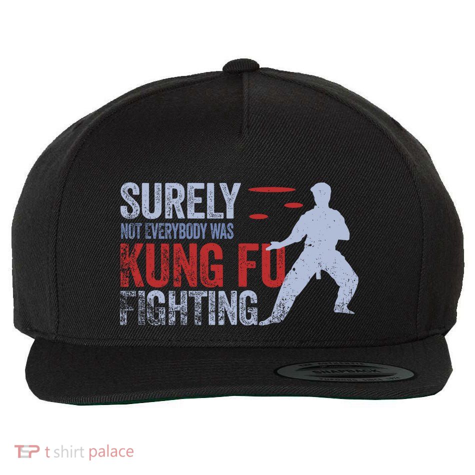 Surely Not Everybody Was Kung Fu Fighting Wool Snapback Cap