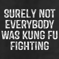 Surely Not Everybody Was Kung Fu Fighting Kung Fu And Karate 7 Panel Mesh Trucker Snapback Hat