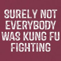 Surely Not Everybody Was Kung Fu Fighting Kung Fu And Karate 16oz Travel Tumbler