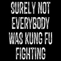 Surely Not Everybody Was Kung Fu Fighting kung Fu and Karate T-Shirt