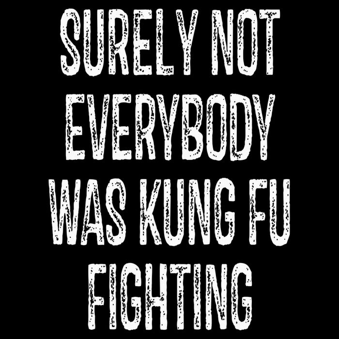 Surely Not Everybody Was Kung Fu Fighting kung Fu and Karate T-Shirt