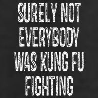 Surely Not Everybody Was Kung Fu Fighting kung Fu and Karate Beanie