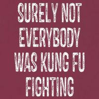 Surely Not Everybody Was Kung Fu Fighting kung Fu and Karate 16oz Travel Tumbler