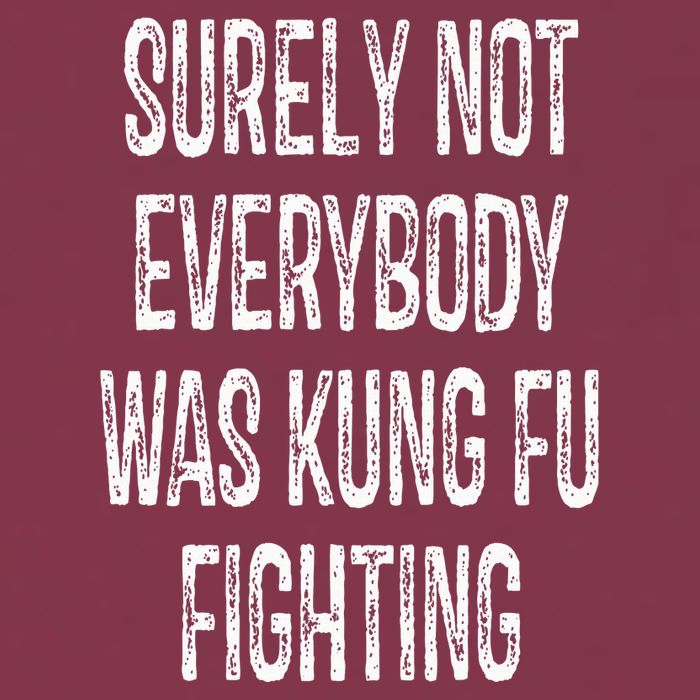 Surely Not Everybody Was Kung Fu Fighting kung Fu and Karate 16oz Travel Tumbler