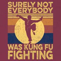 Surely Not Everybody Was Kung Fu Fighting Kung Fu Karate 16oz Travel Tumbler