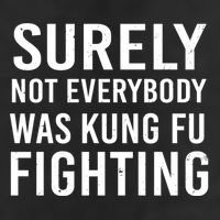 Surely Not Everybody Was Kung Fu Fighting Garment-Dyed Fleece Hoodie