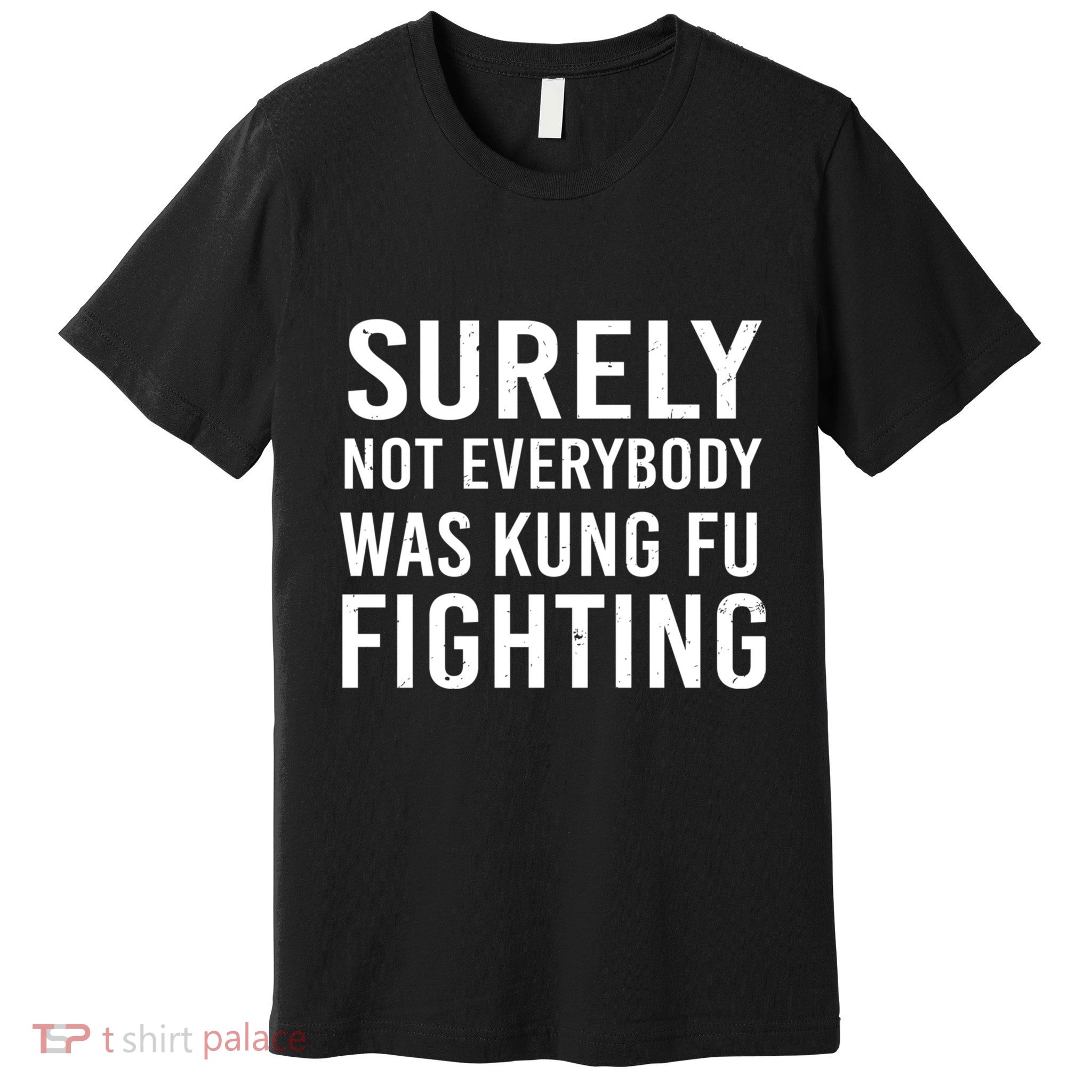 Surely Not Everybody Was Kung Fu Fighting Premium T-Shirt