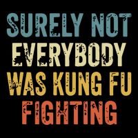 Surely Not Everybody Was Kung Fu Fighting Funny 7-Panel Snapback Hat