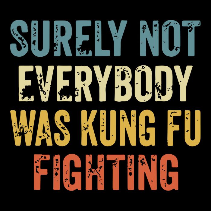 Surely Not Everybody Was Kung Fu Fighting Funny 7-Panel Snapback Hat